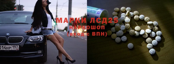 ECSTASY Богданович