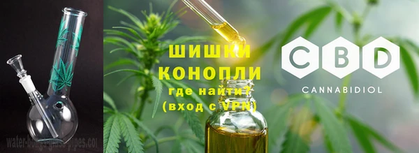 ECSTASY Богданович