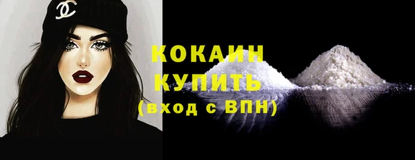 ECSTASY Богданович