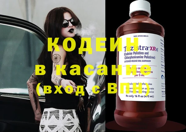 ECSTASY Богданович