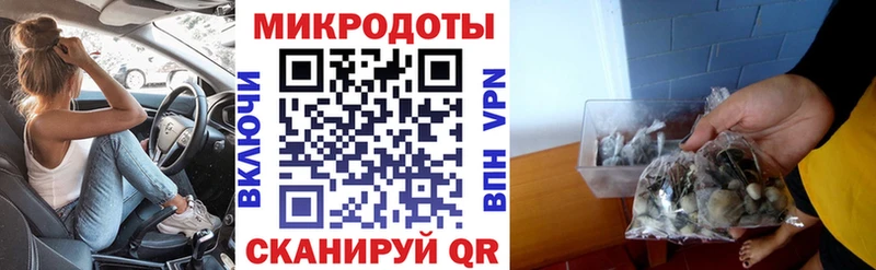 сколько стоит  Эртиль  hydra зеркало  Галлюциногенные грибы мицелий 